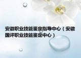 安徽職業(yè)技能鑒定指導(dǎo)中心（安徽國評職業(yè)技能鑒定中心）