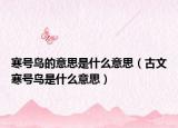 寒號(hào)鳥的意思是什么意思（古文寒號(hào)鳥是什么意思）