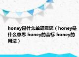 honey是什么單詞意思（honey是什么意思 honey的音標 honey的用法）