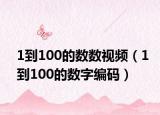 1到100的數(shù)數(shù)視頻（1到100的數(shù)字編碼）