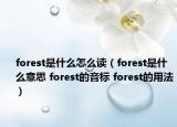 forest是什么怎么讀（forest是什么意思 forest的音標 forest的用法）