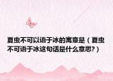 夏蟲不可以語于冰的寓意是（夏蟲不可語于冰這句話是什么意思?）