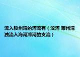 流入膠州灣的河流有（汶河 萊州灣獨(dú)流入海河濰河的支流）