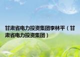 甘肅省電力投資集團李林平（甘肅省電力投資集團）