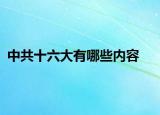 中共十六大有哪些內(nèi)容