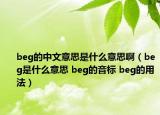 beg的中文意思是什么意思?。╞eg是什么意思 beg的音標(biāo) beg的用法）