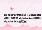 alphabetic中文意思（alphabetical是什么意思 alphabetical的音標 alphabetical的用法）