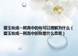 碧玉妝成一樹高中的妝可以理解為什么（碧玉妝成一樹高中的妝是什么意思）