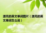 漂亮的英文單詞圖片（漂亮的英文單詞怎么說）