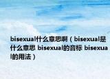 bisexual什么意思?。╞isexual是什么意思 bisexual的音標 bisexual的用法）