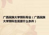 廣西民族大學預科專業(yè)（廣西民族大學預科生需要什么條件）
