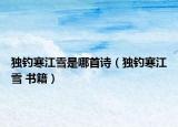 獨(dú)釣寒江雪是哪首詩（獨(dú)釣寒江雪 書籍）