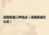 湯圓英語三種說法（湯圓英語怎么說）