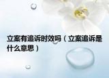 立案有追訴時(shí)效嗎（立案追訴是什么意思）