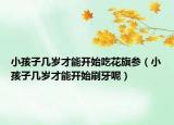 小孩子幾歲才能開始吃花旗參（小孩子幾歲才能開始刷牙呢）