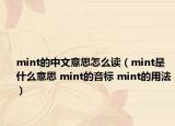 mint的中文意思怎么讀（mint是什么意思 mint的音標(biāo) mint的用法）