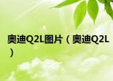 奧迪Q2L圖片（奧迪Q2L）