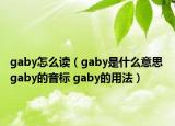 gaby怎么讀（gaby是什么意思 gaby的音標(biāo) gaby的用法）