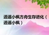 逍遙小楓方舟生存進(jìn)化（逍遙小楓）