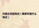 內(nèi)蒙古羊的特點（草原羊有什么特點）