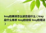 tray的英語怎么讀音是什么（tray是什么意思 tray的音標(biāo) tray的用法）