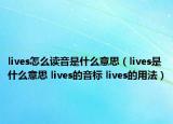 lives怎么讀音是什么意思（lives是什么意思 lives的音標(biāo) lives的用法）