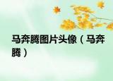 馬奔騰圖片頭像（馬奔騰）