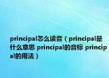 principal怎么讀音（principal是什么意思 principal的音標(biāo) principal的用法）