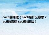 cacti的原理（cacti是什么意思 cacti的音標(biāo) cacti的用法）
