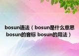 bosun語(yǔ)法（bosun是什么意思 bosun的音標(biāo) bosun的用法）