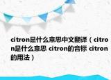 citron是什么意思中文翻譯（citron是什么意思 citron的音標 citron的用法）