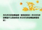 月亮月亮你別睡是哪一首歌的歌詞（月亮月亮你別睡是什么歌的歌詞 月亮月亮你別睡是哪首歌詞）