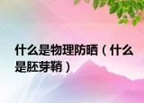 什么是物理防曬（什么是胚芽鞘）