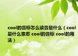 cool的音標(biāo)怎么讀音是什么（cool是什么意思 cool的音標(biāo) cool的用法）