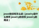 jewel的音標(biāo)怎么讀（jewelry是什么意思 jewelry的音標(biāo) jewelry的用法）