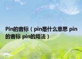 Pin的音標(biāo)（pin是什么意思 pin的音標(biāo) pin的用法）