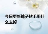 今日更新褲子粘毛用什么去掉