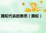 騰蛇代表的意思（騰蛇）