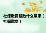 社保繳費(fèi)基數(shù)什么意思（社保繳費(fèi)）