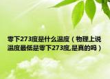 零下273度是什么溫度（物理上說溫度最低是零下273度,是真的嗎）