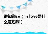誰(shuí)知道so（in love是什么意思?。? /></span></a>
                        <h2><a href=