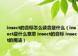 insect的音標怎么讀音是什么（insect是什么意思 insect的音標 insect的用法）