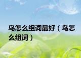 鳥怎么組詞最好（鳥怎么組詞）