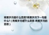 青蔥歲月是什么意思?青蔥歲月下一句是什么?（青蔥歲月是什么意思 青蔥歲月的意思）