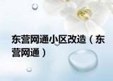 東營網(wǎng)通小區(qū)改造（東營網(wǎng)通）