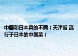 中國和日本菜的不同（天津飯 流行于日本的中國菜）