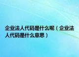 企業(yè)法人代碼是什么呢（企業(yè)法人代碼是什么意思）