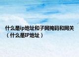什么是ip地址和子網(wǎng)掩碼和網(wǎng)關(guān)（什么是IP地址）