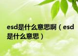 esd是什么意思?。╡sd是什么意思）