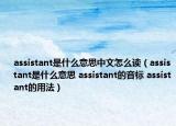 assistant是什么意思中文怎么讀（assistant是什么意思 assistant的音標 assistant的用法）